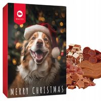 KALENDARZ ADWENTOWY 2024 DLA PSA ZESTAW NA PREZENT DLA PUPILA 25 PRZEKĄSEK