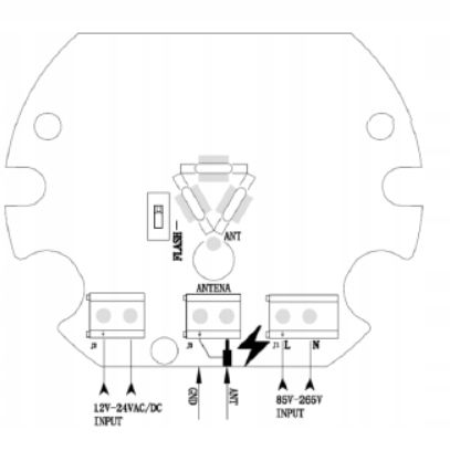 Kogut LAMPA LED Z ANTENĄ odpowiednik FAAC NICE CAME BFT BENINCA SOMFY DEA na Arena.pl