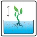 Mikoryza - Grzybnia Rhodovit Symbiom do Borówek na Arena.pl