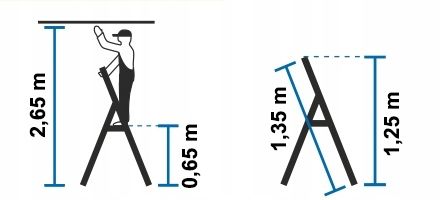 Drabina wolnostojąca KRAUSE Monto Safety 1x3 na Arena.pl