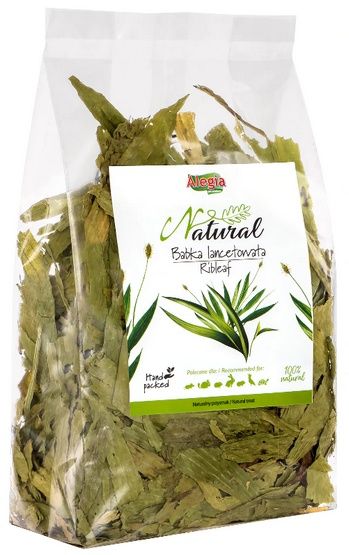 Alegia Babka lancetowata 100g zdjęcie 1