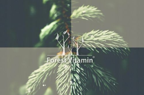 CZYSTA W PROSZKU NATTO Nattokinaza 25g UKŁAD KRĄŻENIA CIŚNIENIE KREW JAKOŚĆ na Arena.pl