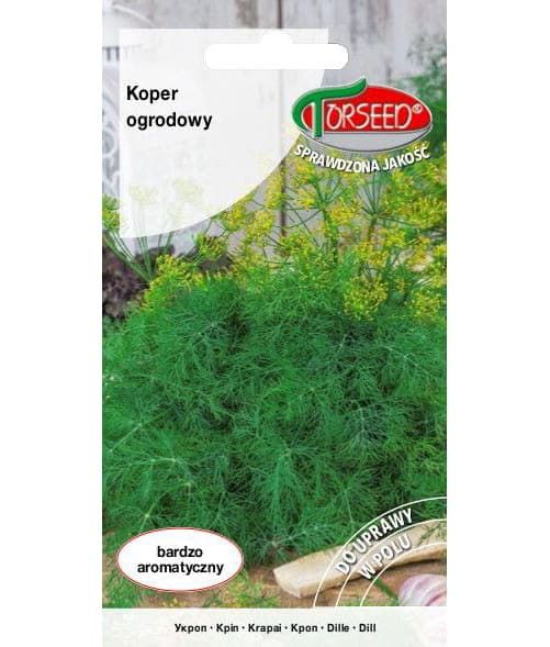 Nasiona Koper Ogrodowy 5g zdjęcie 1