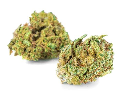 Susz konopny OG Royal Kush CBD 1g na Arena.pl