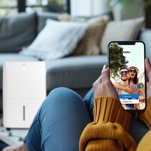 Osuszacz powietrza EBERG pochłaniacz wilgoci 60L/24h +WiFi na Arena.pl