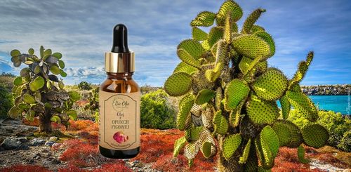 OLEJ z OPUNCJI FIGOWEJ 100% ZMARSZCZKI POD OCZAMI na Arena.pl