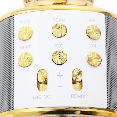 ND32_Q17B2 Q17B2 MIKROFON KARAOKE GOLD SIMPLE na Arena.pl