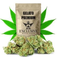 Susz konopny Gelato CBD PREMIUM Exclusive Weed 10g