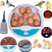 INKUBATOR KLUJNIK WYLĘGARKA DO JAJ WYLĘGU DROBIU 9