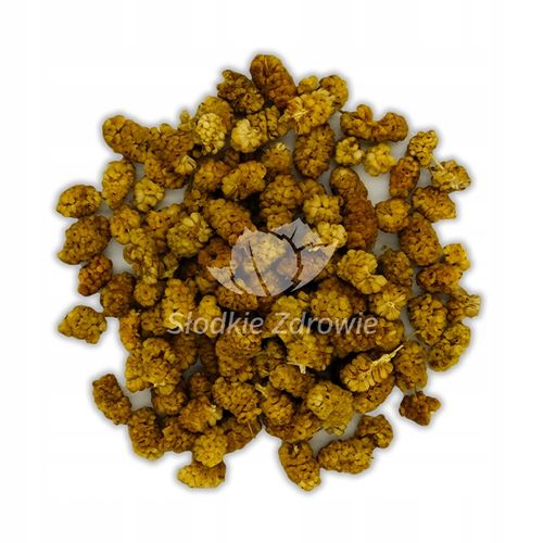 MORWA BIAŁA SUSZONA owoce bez pestek ŚWIEŻA 1kg na Arena.pl