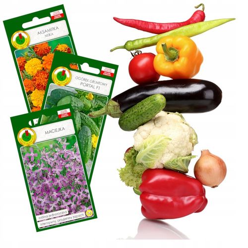 WIELODONICZKA DO SIEWU DONICZKA DO WYSIEWU ROZSAD TACA PODSTAWKA 40szt na Arena.pl