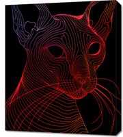 Obraz 60x70cm Cyfrowa Kocica