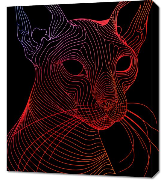 Obraz 60x70cm Cyfrowa Kocica zdjęcie 1