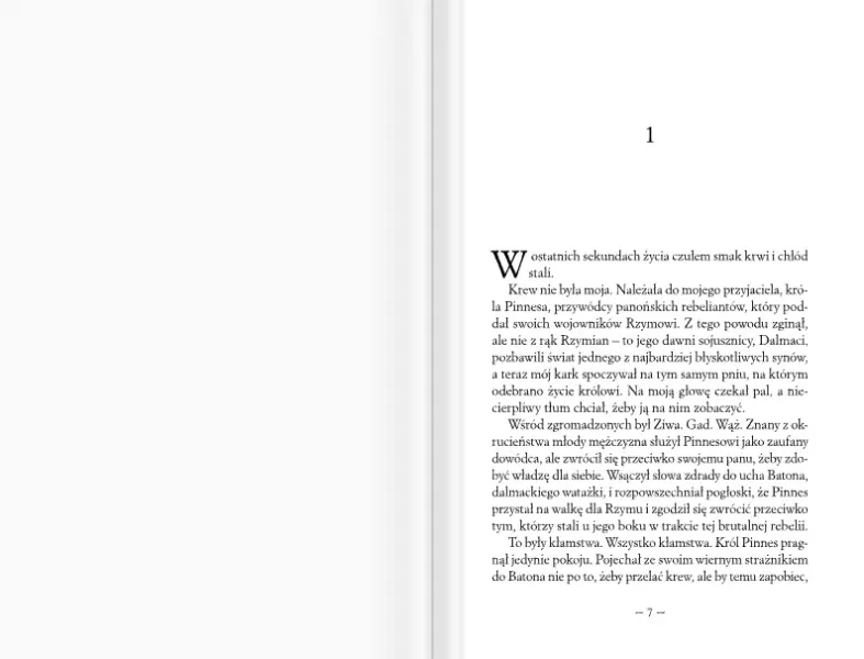 Buntownik zdjęcie 6