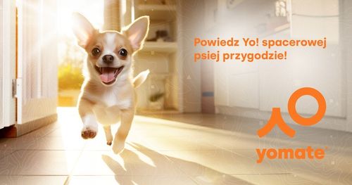 LEKKA i WYGODNA SMYCZ AUTOMATYCZNA dla MAŁEGO PSA / BLOKADA ZWIJANA TAŚMA na Arena.pl