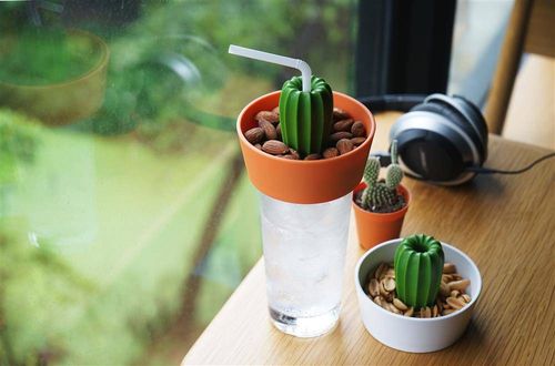 Miseczka na przekąski Cacnuts pomarańczowo-zielona 10284-OR-GN na Arena.pl