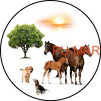 Opłatek na tort KONIE Koń Mustang Konik Kuc Urodziny Tekst Gratis