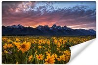 Fototapeta Do Sypialni ZACHÓD Słońca Żółte Kwiaty Pejzaż 3D 450cm x 300cm