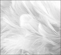 Tło do fotografii produktowej kulinarnej Flat Lay