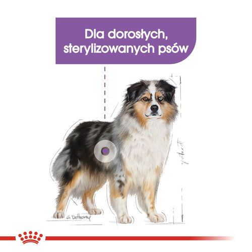 royal canin ccn medium sterilised 3kg na Arena.pl