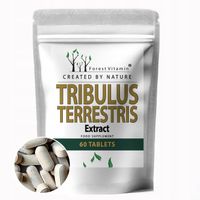 TRIBULUS TERRESTRIS TESTOSTERON BUZDYGANEK MOCNY 95% SIŁA MOC MIĘŚNIE