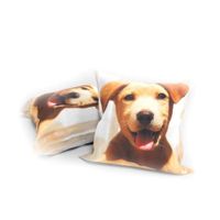 Poszewka Dwustronna 45X45 Pies P029