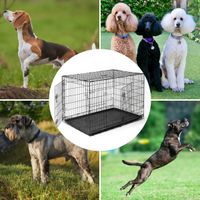 Klatka Kennelowa Metalowa L Dla Psa I Kota - Składana