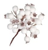 GAŁĄZKA DEKORACYJNA GŁÓG GAŁAZKI DO STROIKA