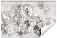 Fototapeta Do Jadalni BETON Piwonie Kwiaty Abstrakcja Mural 450cm x 300cm