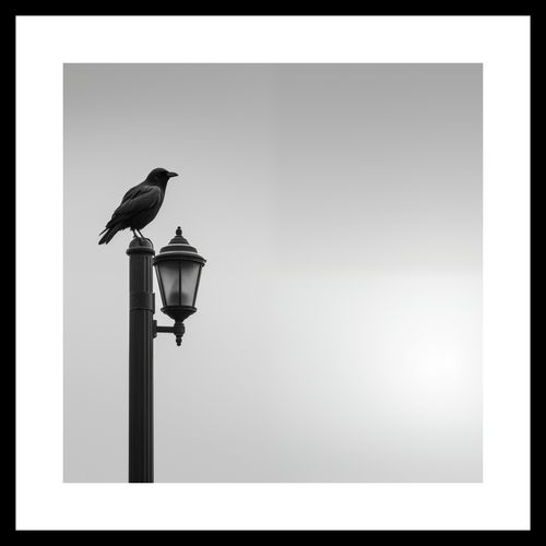 Plakat 40x40cm Samotny Postój Kruka na Arena.pl