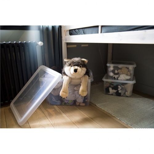 Pudełko Funny 18L niebieskie na Arena.pl