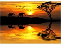 50X70CM AFRYKA OBRAZ POKOJU DREWNINE