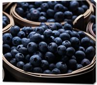 product-compare-59468690