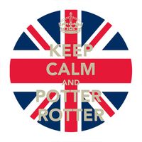 Przypinka Harry Potter