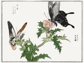 Plakat 20x15cm Motyle i Kwiaty Ilustracja Morimoto Toko Japoński Vintage