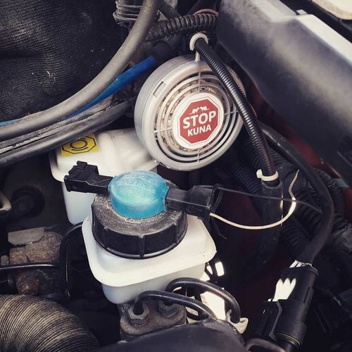 ODSTRASZACZ KUN SKUTECZNY NA ALLEGRO ŚRODEK NA KUNY DO SAMOCHODU na Arena.pl