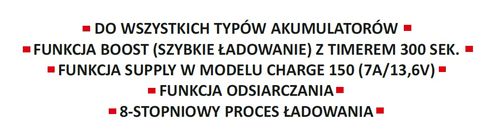 PROSTOWNIK WELDMAN CHARGE 200 12V/24V na Arena.pl
