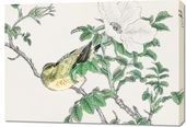Obraz 100x70cm Bulbul and Rosa, Kashu Japoński Vintage do Salonu