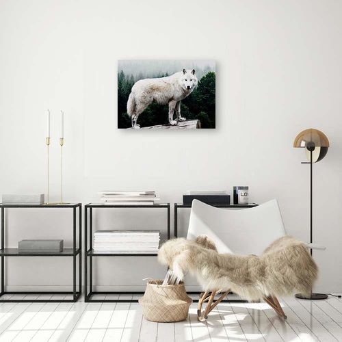 Deco Panel, Biały wilk 100x70 na Arena.pl