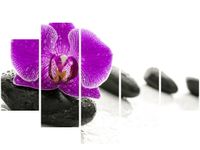 105CM 150CM OBRAZ 5 ELEM STORCZYK KAMIENIU DRUK