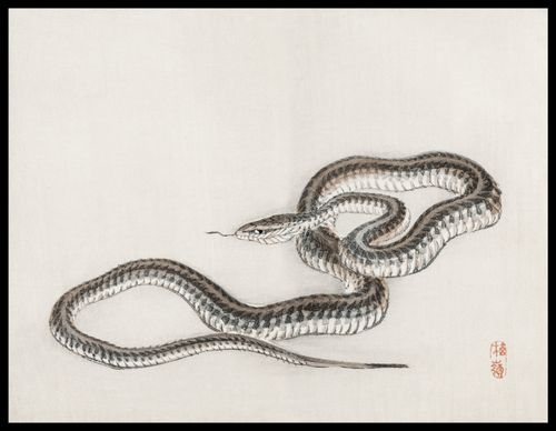 Plakat 65x50cm Snake, Kōno Bairei na Arena.pl