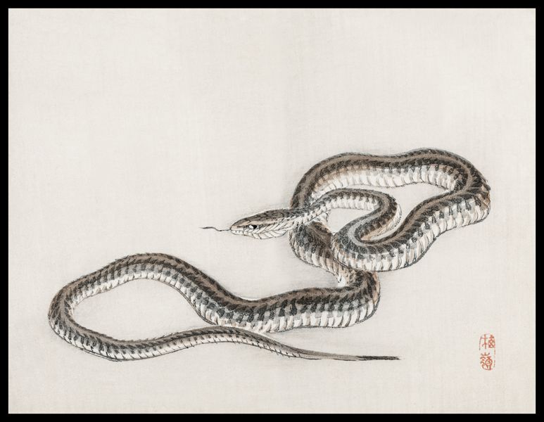 Plakat 65x50cm Snake, Kōno Bairei zdjęcie 2