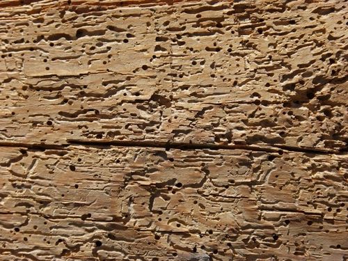 3x 300 Preparat owadobójczy HERKULES PROPAL =900ml na Arena.pl