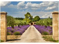 50X70CM DROGA PROWANSJI OBRAZ POKOJU DREWNINE