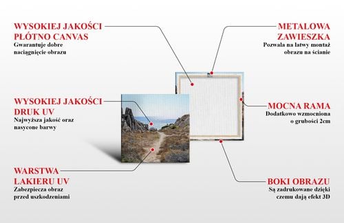 OBRAZ NA PŁÓTNIE 040 Kaktusy 90x60cm na Arena.pl