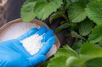 Nawóz Azotowy Grupa Azoty PULAN granulat 30KG Trawnik Ogród Łaka Krzewy