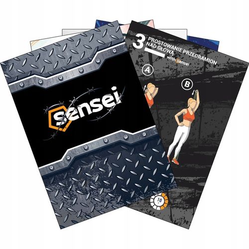 ZESTAW 4 GUM POWER BAND + UCHWYT, Taśmy do Ćwiczeń Oporowych, Podciągania na Arena.pl