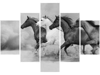 70 100CM OBRAZ 5 ELEM STADO BURZY PIASKOWEJ DRUK PŁÓTNO