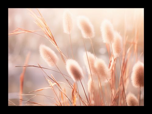 Plakat 18x13cm Kwiaty Słońca na Arena.pl