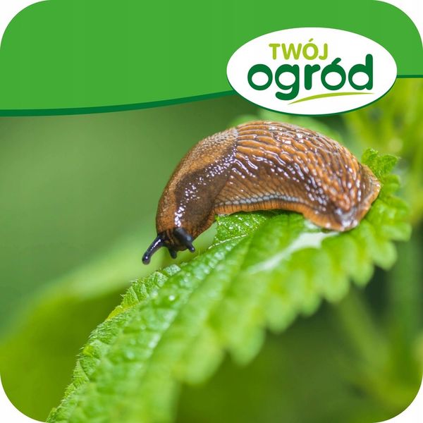 TRUTKA NA ŚLIMAKI ŚRODEK NA ŚLIMAKI 1KG GRANULAT LIMA ORO 5GB zdjęcie 10